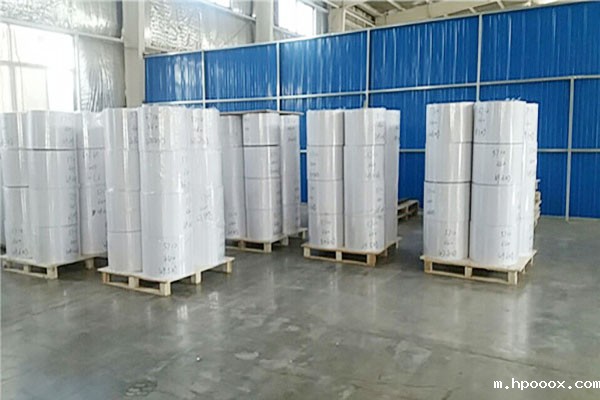 牛皮淋膜纸厂容厂貌